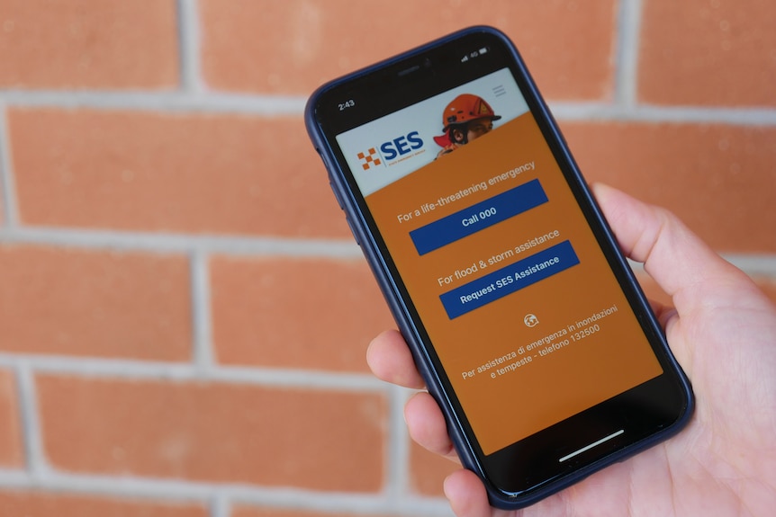 Hand holds phone against brick wall with SES app