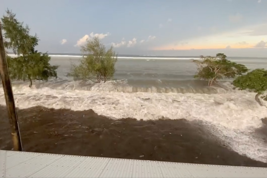 Waves come to shore, covering trees and infrastructure. 