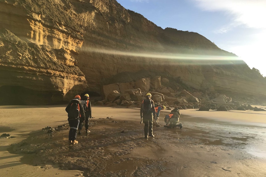 Fossil hunting team standing on rock platform