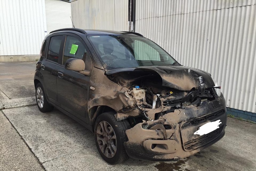 Car written off after striking a large male deer with antlers on the Princes Highway near Wollongong, June 2017.