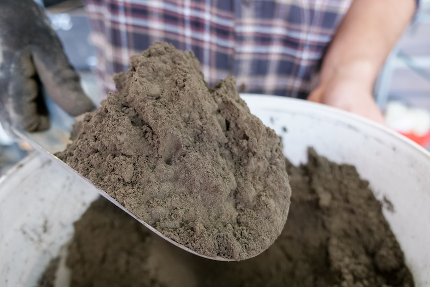 A close up of a small spade holding a pile of grey ash from a white bucket