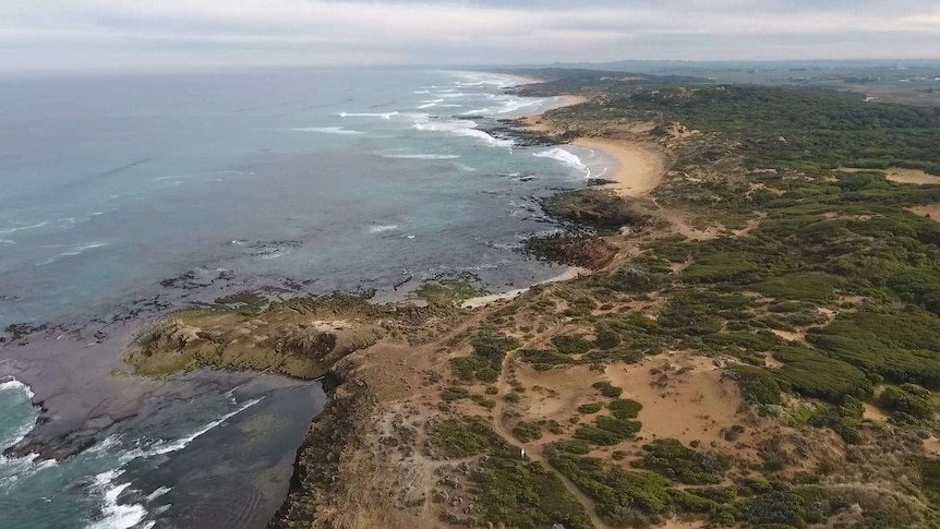 An overhead view of a coastline.