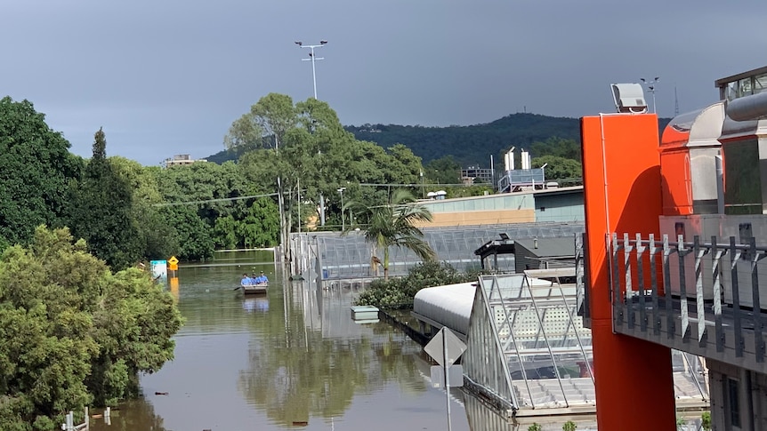 Floodwaters surround the glasshouses at The University of Queensland