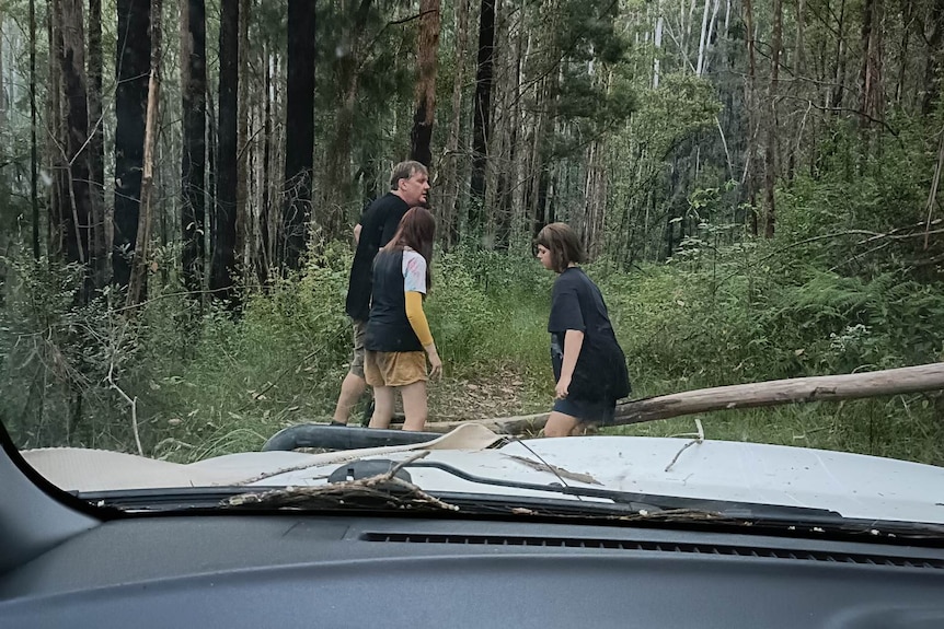 View from a car window, as two children and a man lift a log from across a dirt track through a forest.
