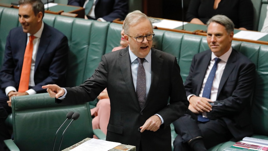 Anthony Albanese addresses the reps chamber pointing at the opposition benches