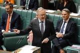 Anthony Albanese addresses the reps chamber pointing at the opposition benches