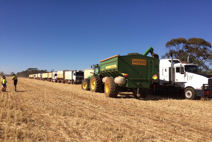 Three people stand in a paddock with trucks lined up on the right