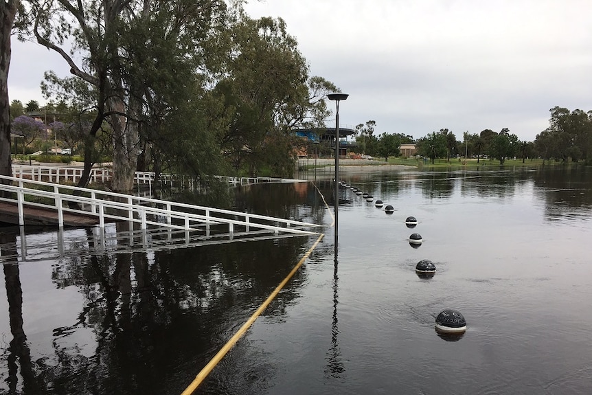 Mildura wharf half under water from Murray River floods.