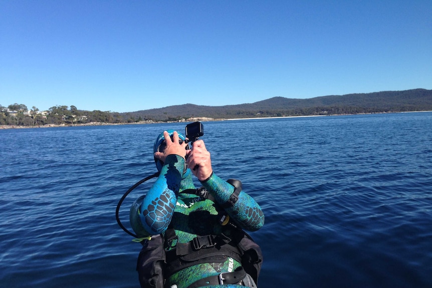 Danny Lee dives at Binalong Bay.