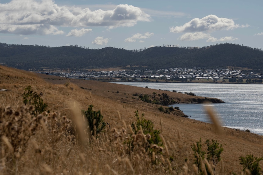 Empty paddocks on a peninsula hill looking back at housing.