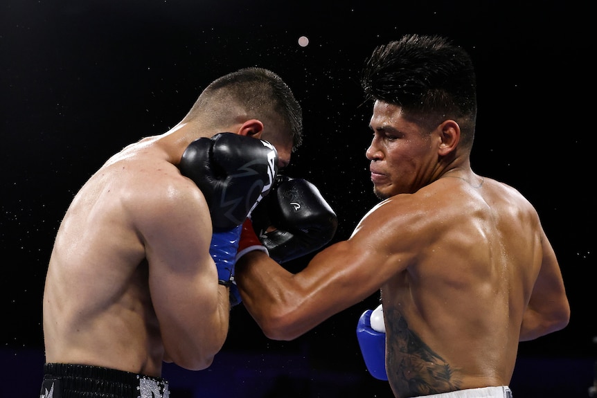 Emanuel Navarrete punches Eduardo Baez