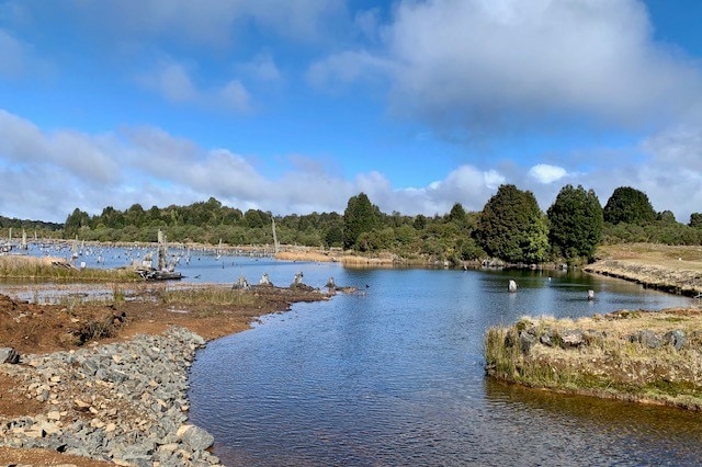 Barrage de Waratah