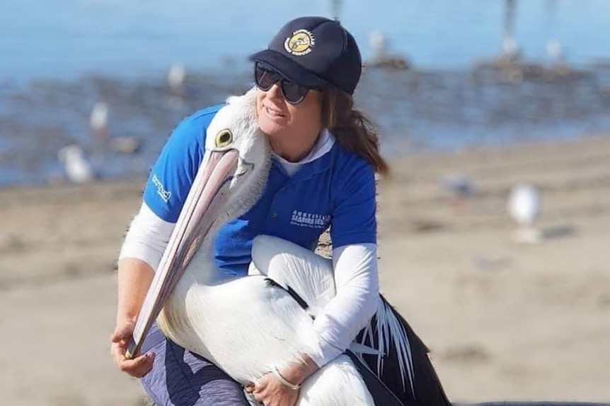 a lady cradling a pelican