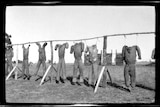 Straw effigies used for bayonet drill, Seymour Army Camp 1915.