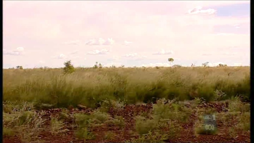 Scientists slam possible NT nuclear site