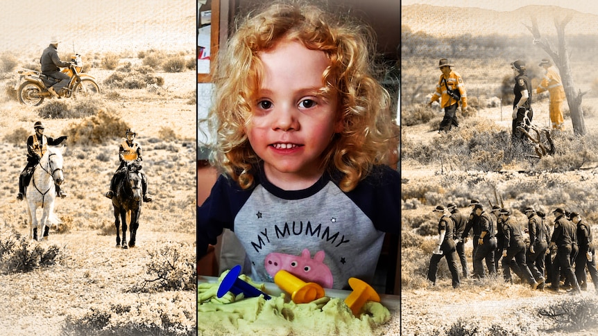 The questions dogging the search for Gus Lamont after latest police update - ABC News
