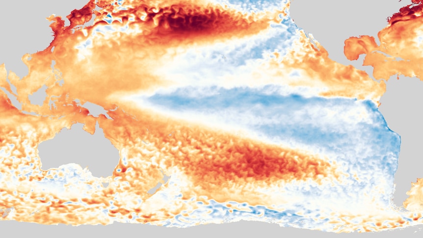 Mapa del Océano Pacífico que muestra aguas cálidas en el oeste y frías en el este