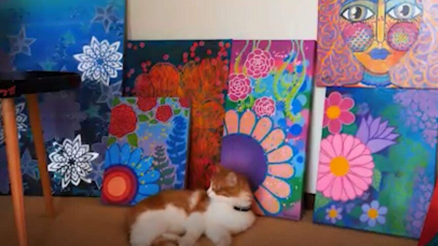 Colourful paintings by Geraldton artist Sammy Jay, with her cat in the foreground