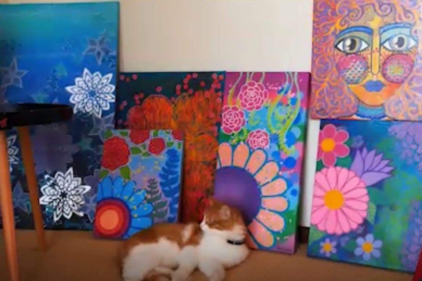 Colourful paintings by Geraldton artist Sammy Jay, with her cat in the foreground