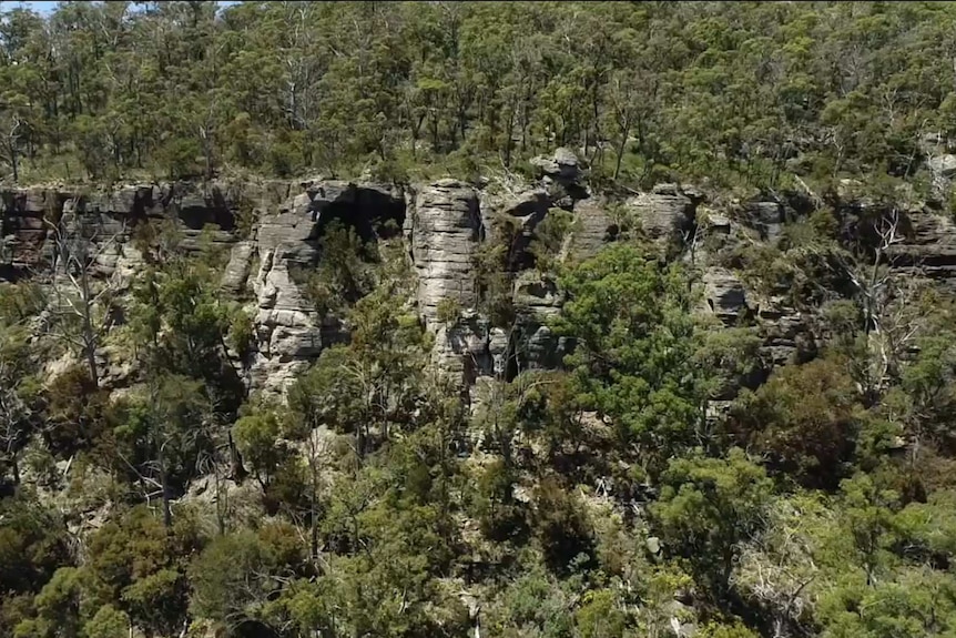 Cliffs at Sand River Conservation area, near Buckland Tasmania