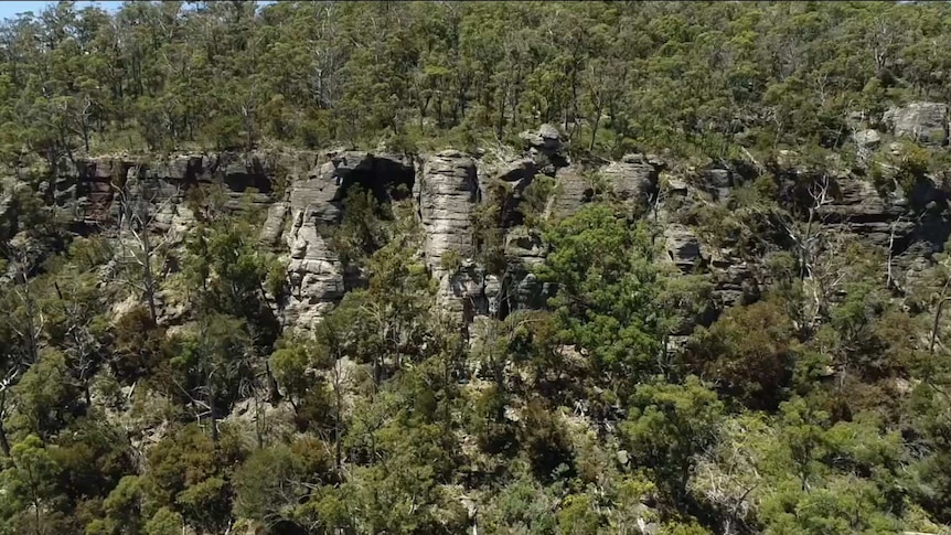Cliffs at Sand River Conservation area, near Buckland Tasmania
