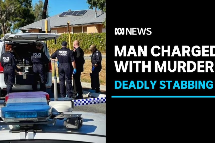 Man Charged With Murder, Deadly Stabbing: Forensic officers stand at a police van with its boot open at a crime scene.