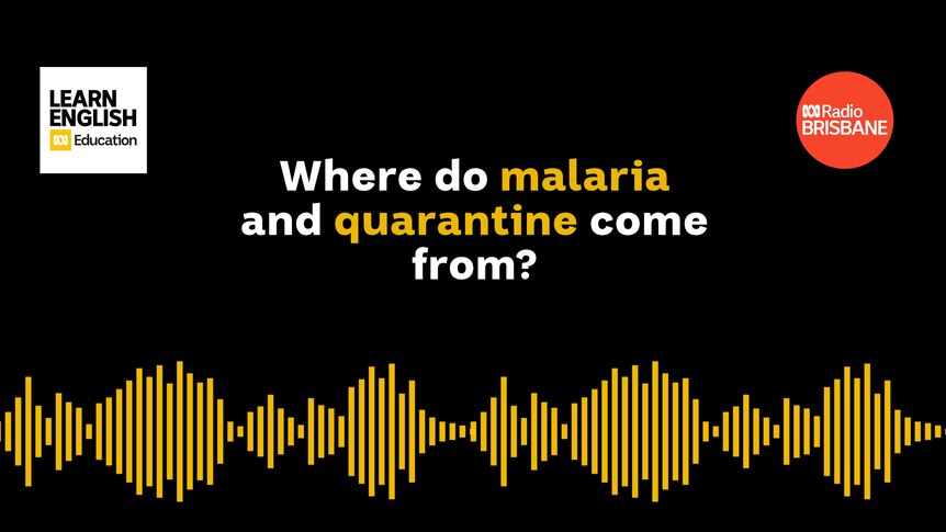 Malaria and quarantine