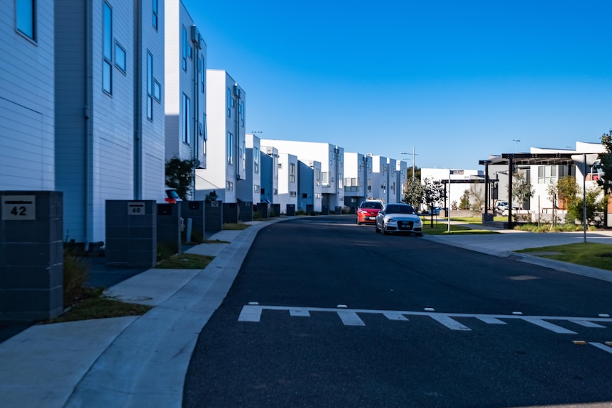 A line of new modern homes lining a pristine street.  