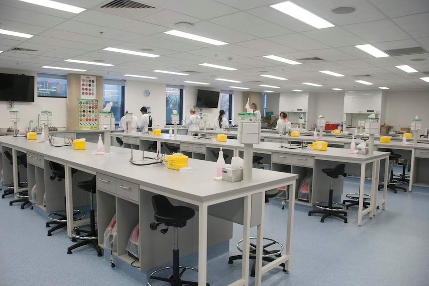 Inside a teaching lad at the University of Tasmania School of Medicine.