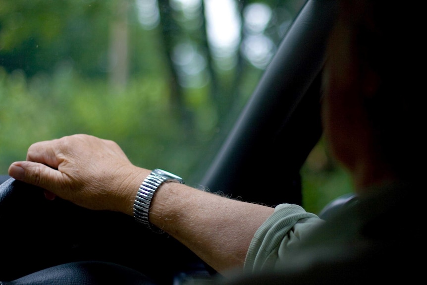 An elderly man drives a car.