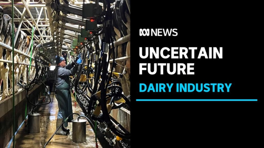 Uncertain Future, Dairy Industry: A man works in an industrial dairy.