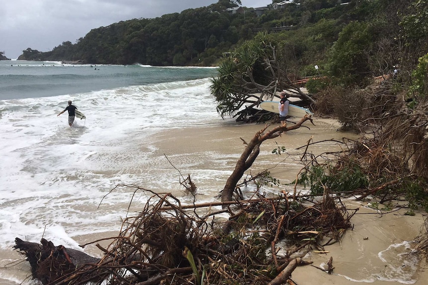 Clark's Beach at Byron Bay littered with trees damaged in the wake of Ex-Tropical Cyclone Oma.