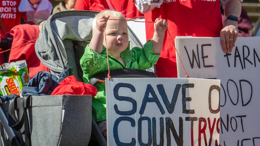 A baby holds up a protest sign.