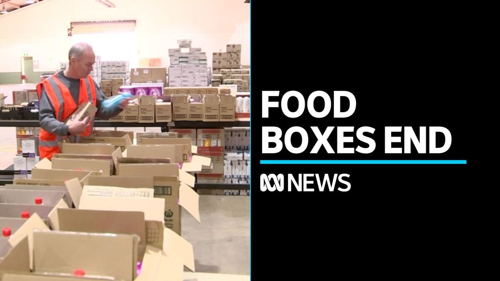 Macgregor 2615 Location ABC News