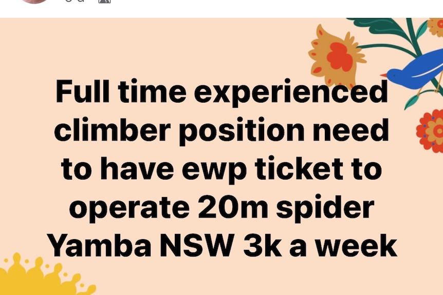 An advertisement on Facebook for an experienced, qualified arborist.