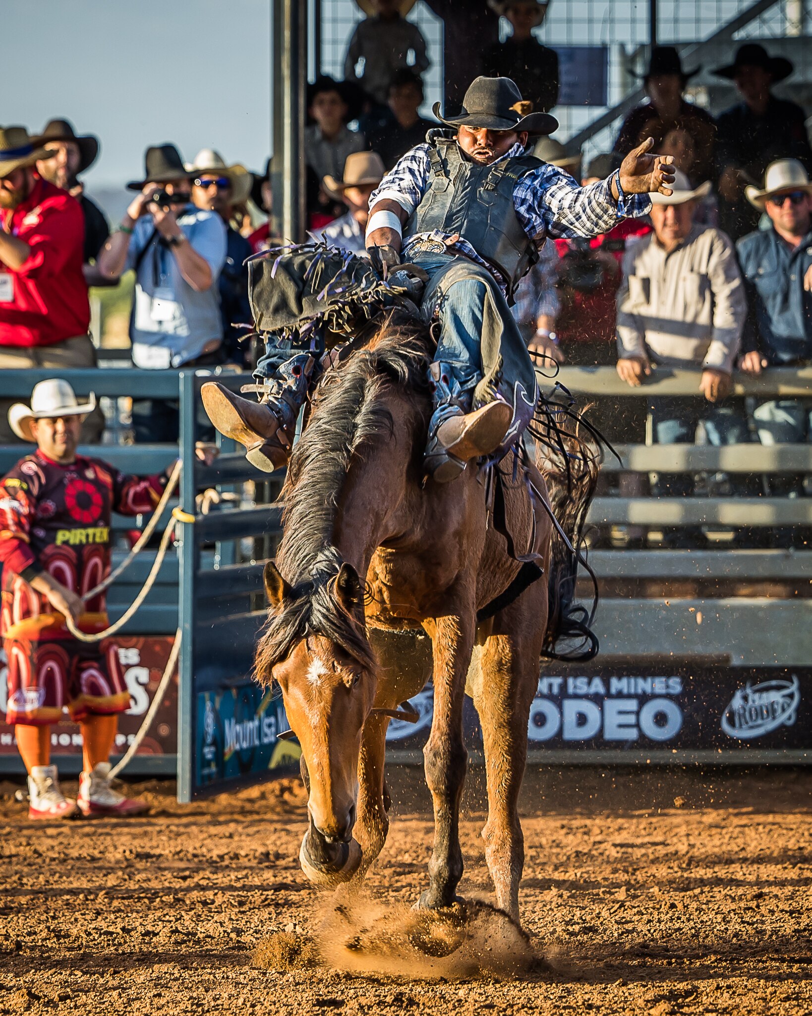 A cowboy rides a bucking bronco at a rodeo