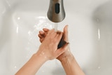 A person washes their hands with water in a white basin.
