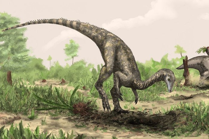 A reconstruction Nyasasaurus from the Middle Triassic of Tanzania