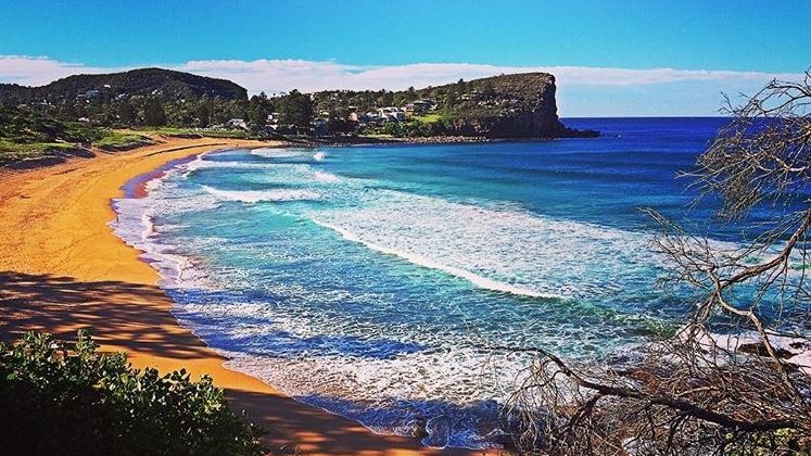 Bungan Beach on Sydney's northern beaches pictured from a height. The water is bright blue and the sand golden yellow.