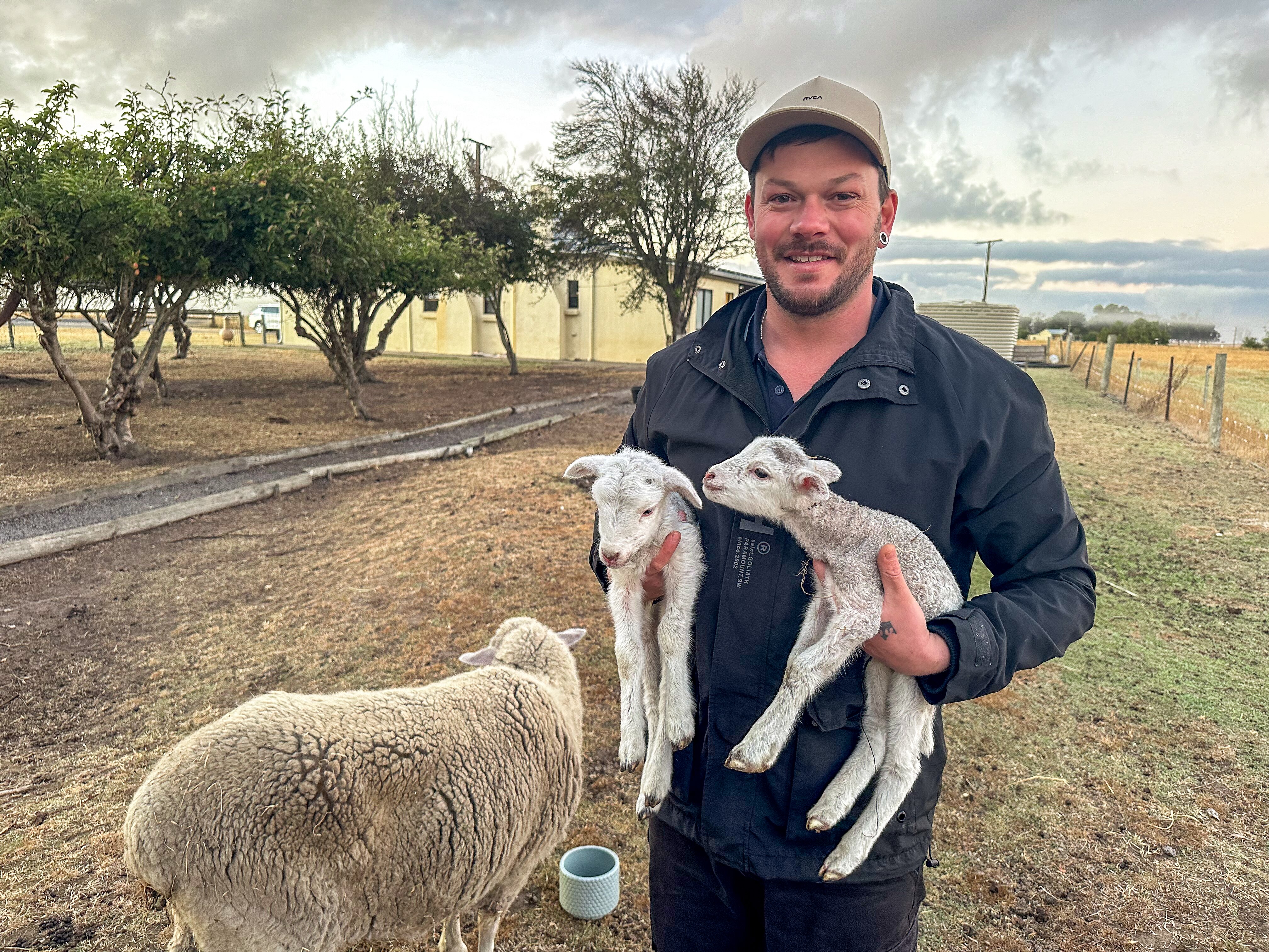 Brad holds two lambs with mum ewe to the side