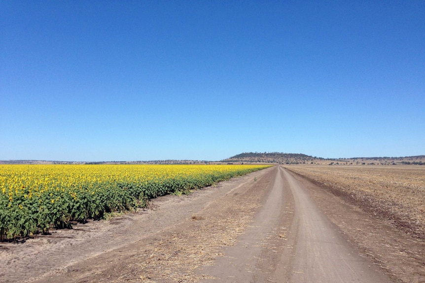 Shenhua mine site