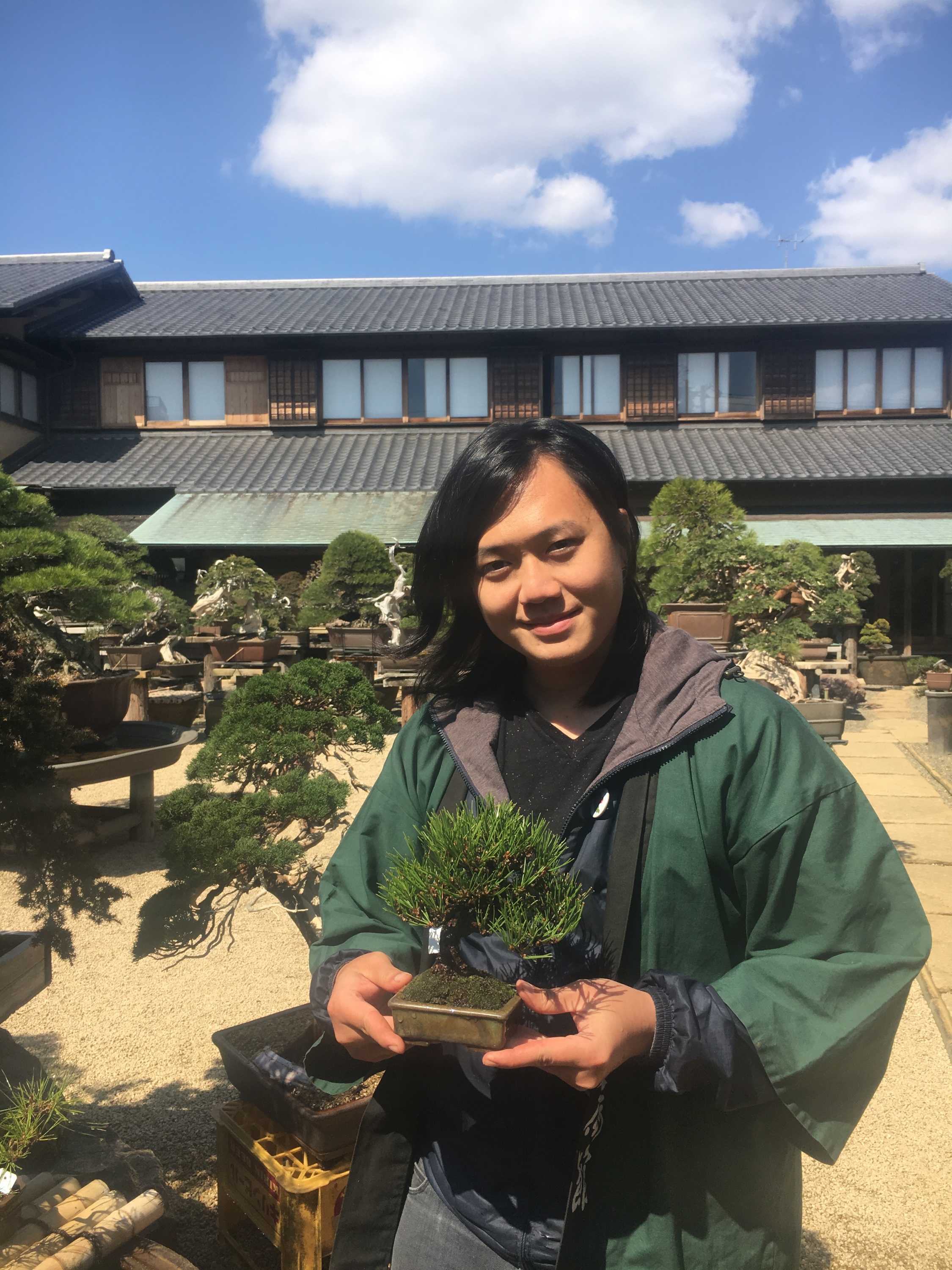 Japan's ancient art of bonsai threatened by waning interest among youth