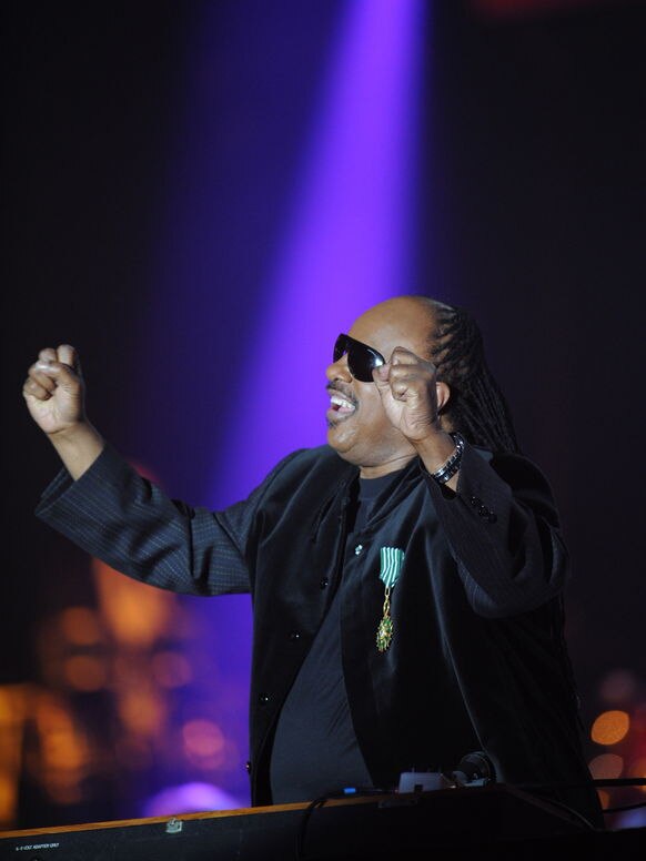 Stevie Wonder awarded top cultural honour
