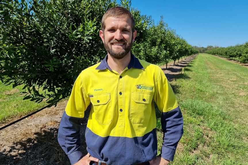 A man wearing a hi vis shirt stands in an orchard.