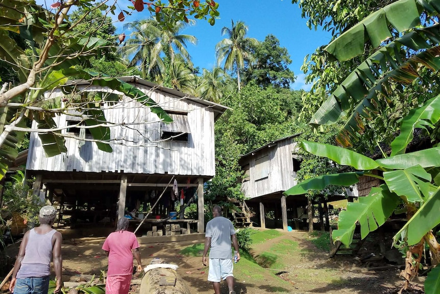 Houses made of timber sit on stilts surrounded by greenery in this image of Wagina Island.