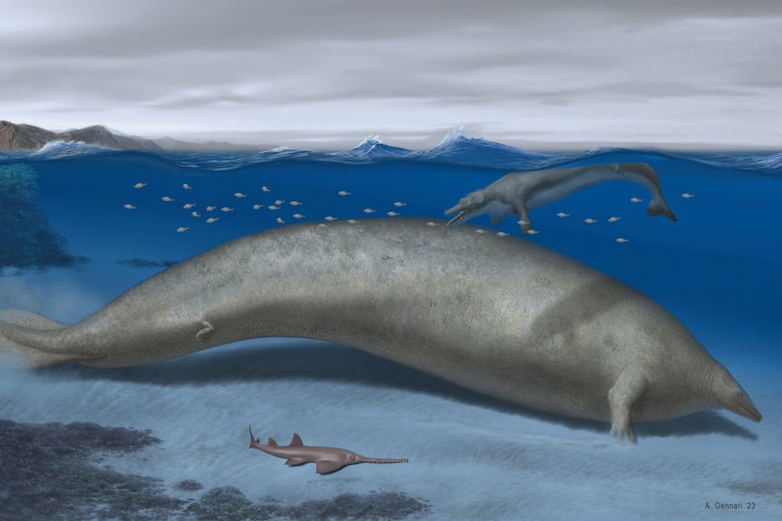 A drawing of a marine mammal built somewhat like a manatee under the ocean