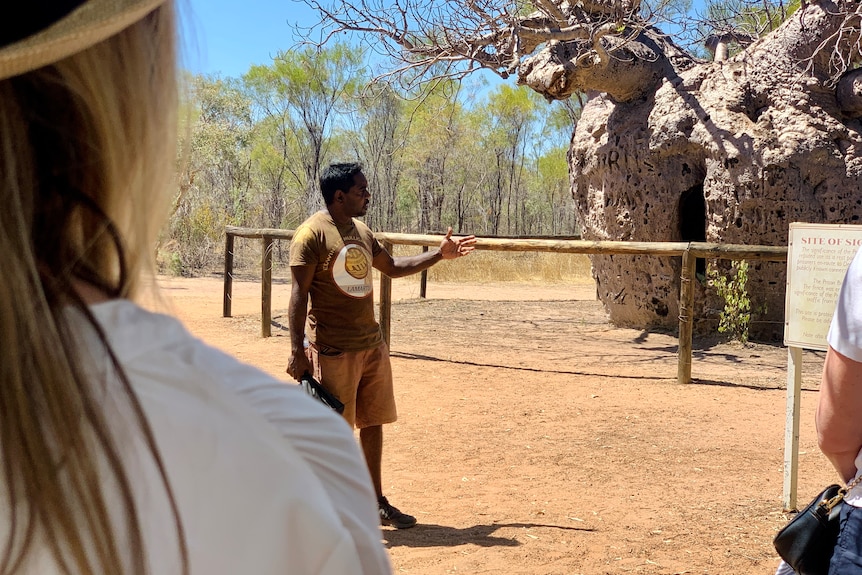 An Aboriginal man points to a huge boab tree as he talks to a group of people.