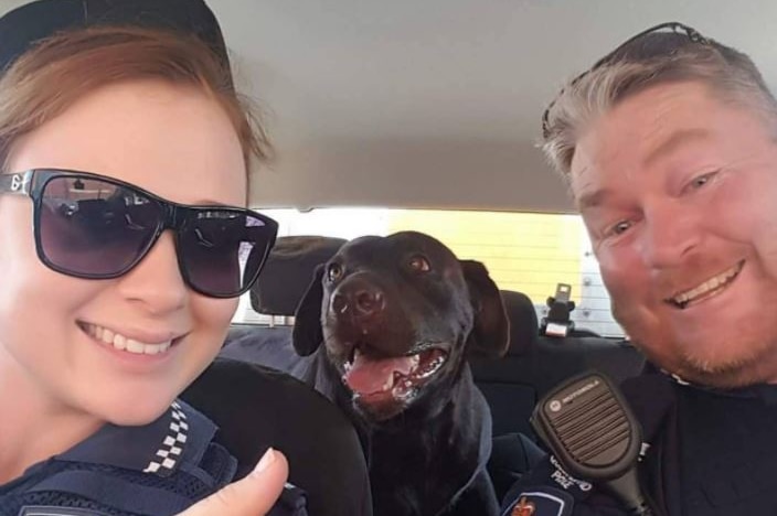 Police officers with a Labrador