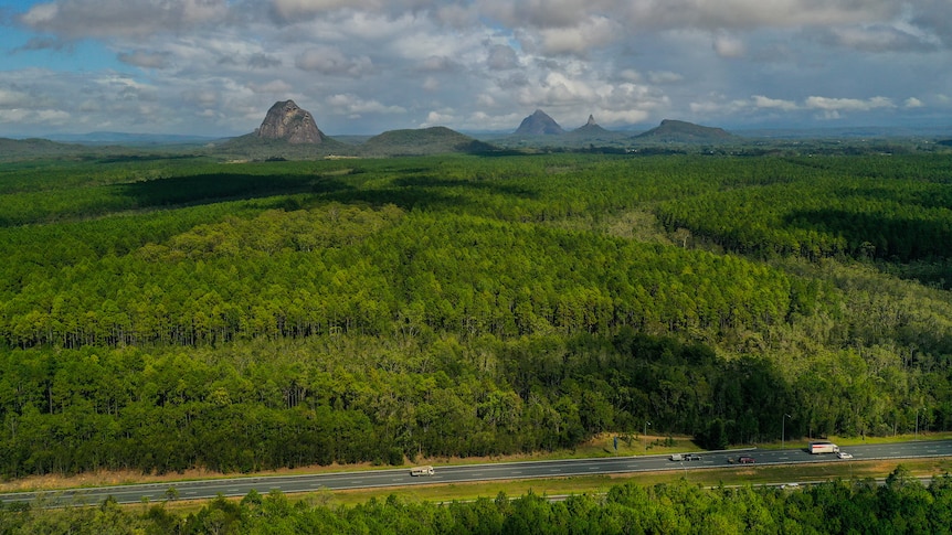 A view looking west over the highway and pine plantations to the Glass House Mountains.