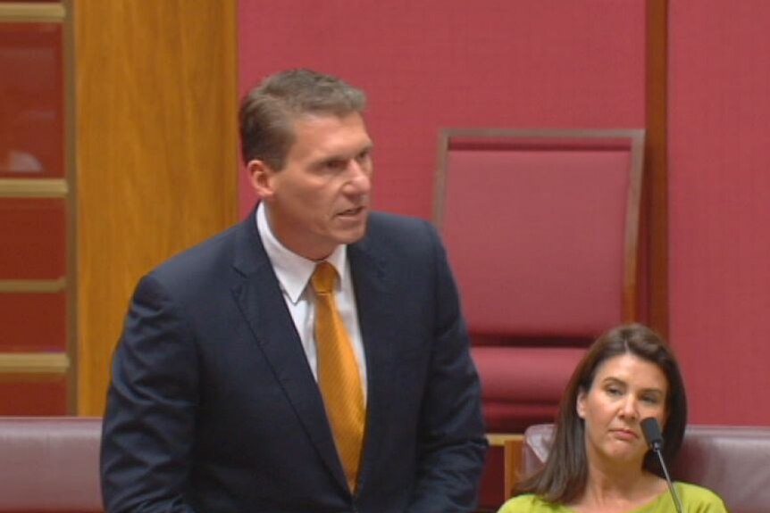 Close up of Cory Bernardi standing up in the Senate.